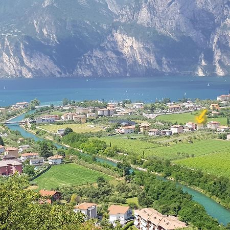 Conca D'Oro B&B And Apartments 托尔博莱 外观 照片