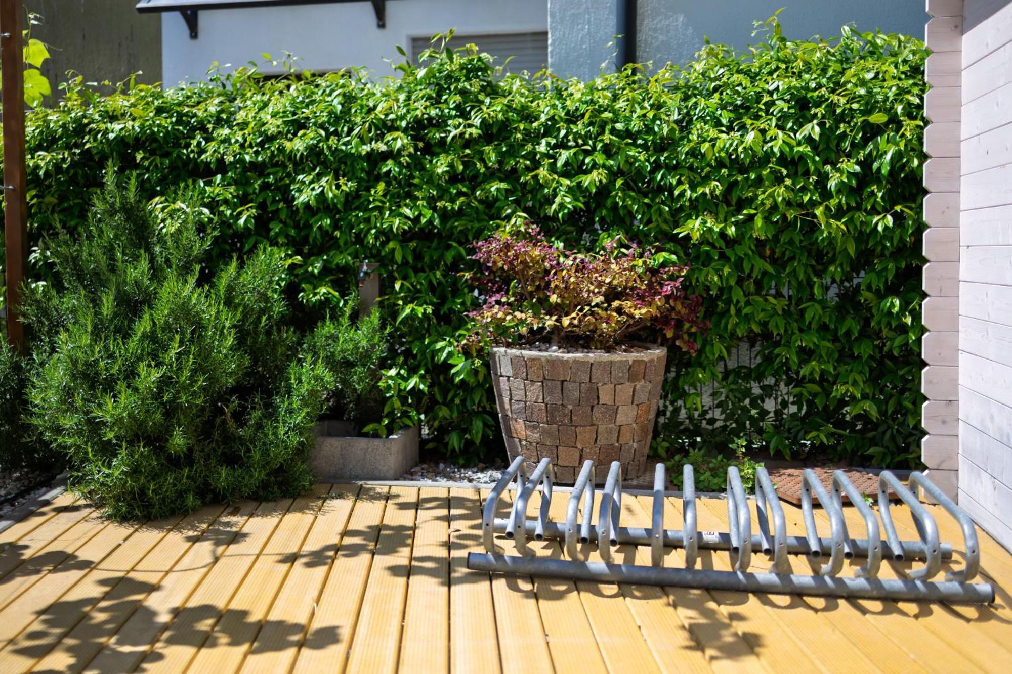 Conca D'Oro B&B And Apartments 托尔博莱 外观 照片